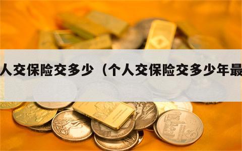 个人交保险交多少（个人交保险交多少年最好）