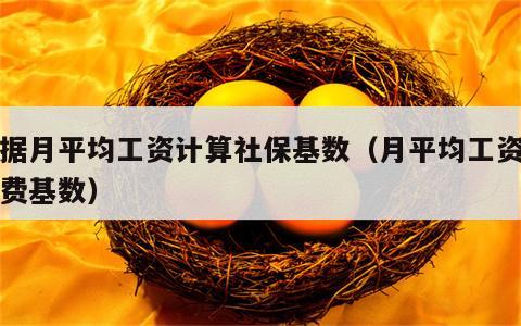 根据月平均工资计算社保基数（月平均工资和缴费基数）