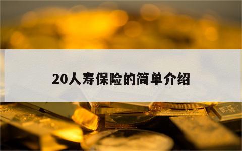 20人寿保险的简单介绍