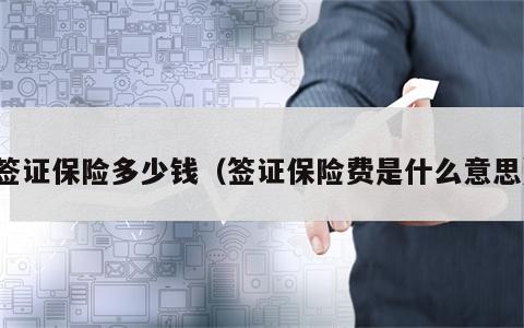 签证保险多少钱（签证保险费是什么意思）