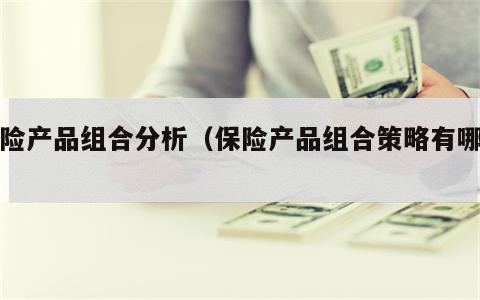保险产品组合分析（保险产品组合策略有哪些）