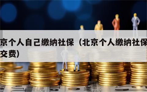 北京个人自己缴纳社保（北京个人缴纳社保怎么交费）