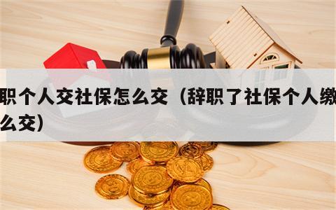辞职个人交社保怎么交（辞职了社保个人缴费怎么交）