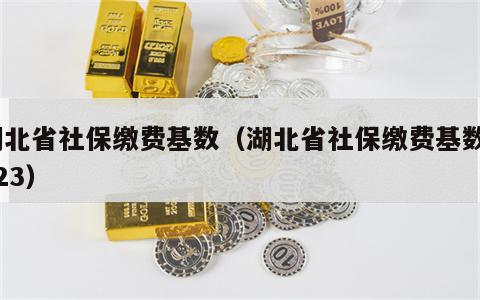 湖北省社保缴费基数（湖北省社保缴费基数2023）