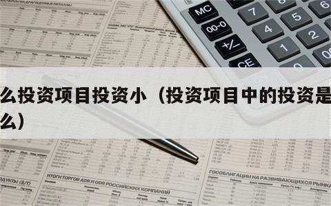 什么投资项目投资小（投资项目中的投资是指什么）