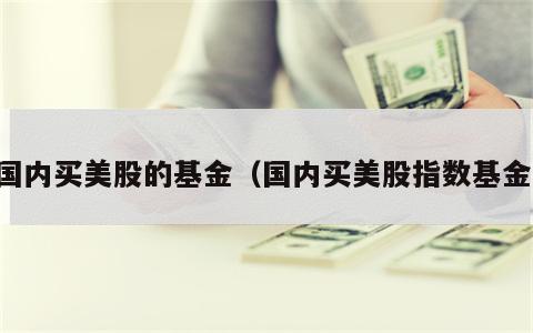 国内买美股的基金（国内买美股指数基金）