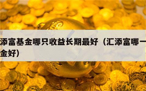 汇添富基金哪只收益长期最好（汇添富哪一只基金好）