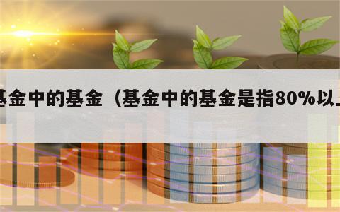 基金中的基金（基金中的基金是指80%以上）