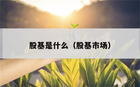 股基是什么（股基市场）