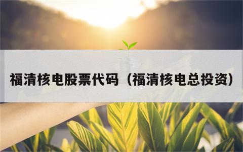 福清核电股票代码（福清核电总投资）