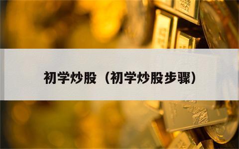 初学炒股（初学炒股步骤）