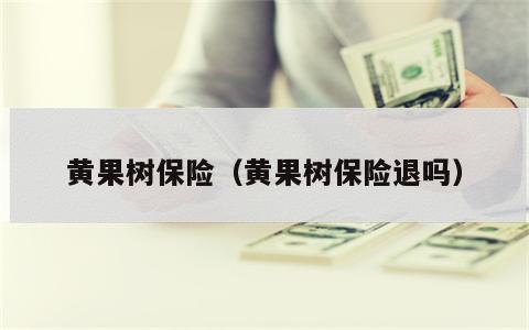 黄果树保险（黄果树保险退吗）