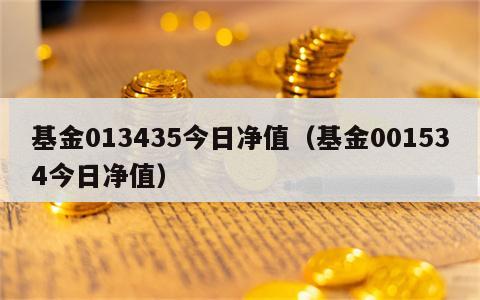 基金013435今日净值（基金001534今日净值）