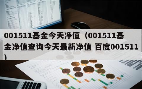 001511基金今天净值（001511基金净值查询今天最新净值 百度001511）
