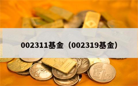 002311基金（002319基金）