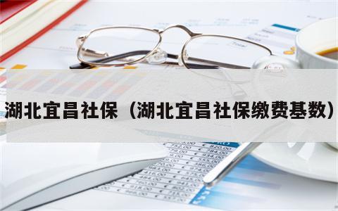 湖北宜昌社保（湖北宜昌社保缴费基数）