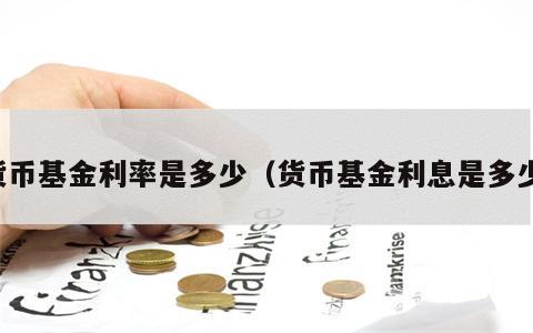 货币基金利率是多少（货币基金利息是多少）