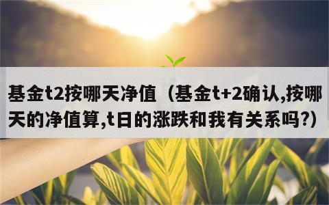 基金t2按哪天净值（基金t+2确认,按哪天的净值算,t日的涨跌和我有关系吗?）