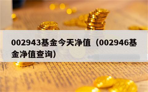 002943基金今天净值（002946基金净值查询）
