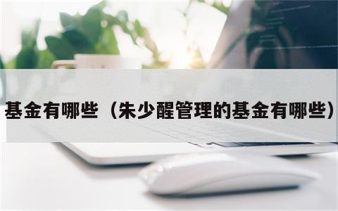 基金有哪些（朱少醒管理的基金有哪些）