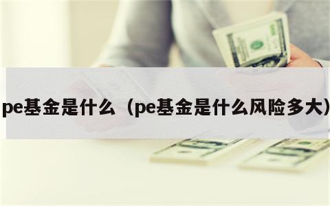 pe基金是什么（pe基金是什么风险多大）