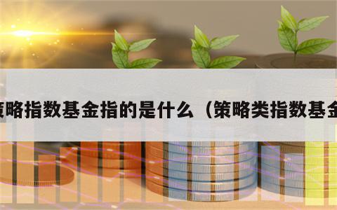 策略指数基金指的是什么（策略类指数基金）