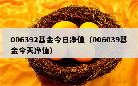 006392基金今日净值（006039基金今天净值）