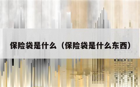 保险袋是什么（保险袋是什么东西）