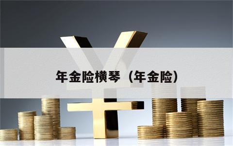 年金险横琴（年金险）
