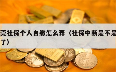 东莞社保个人自缴怎么弄（社保中断是不是白交了）