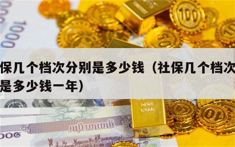 社保几个档次分别是多少钱（社保几个档次分别是多少钱一年）