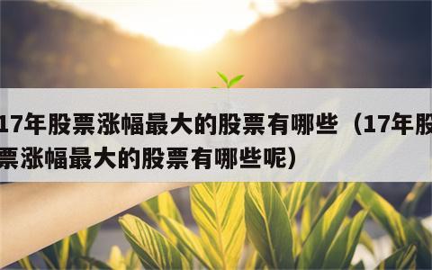 17年股票涨幅最大的股票有哪些（17年股票涨幅最大的股票有哪些呢）