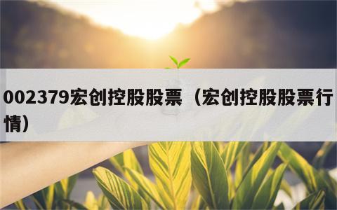 002379宏创控股股票（宏创控股股票行情）