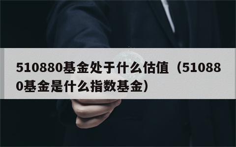 510880基金处于什么估值（510880基金是什么指数基金）