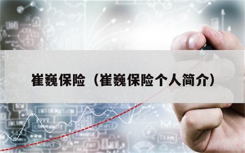 崔巍保险（崔巍保险个人简介）
