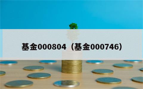 基金000804（基金000746）