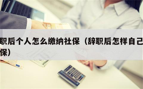 辞职后个人怎么缴纳社保（辞职后怎样自己交社保）