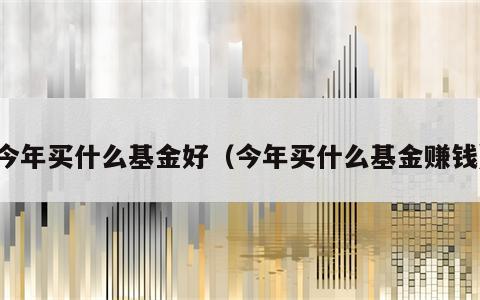 今年买什么基金好（今年买什么基金赚钱）