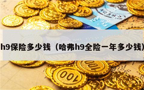 h9保险多少钱（哈弗h9全险一年多少钱）