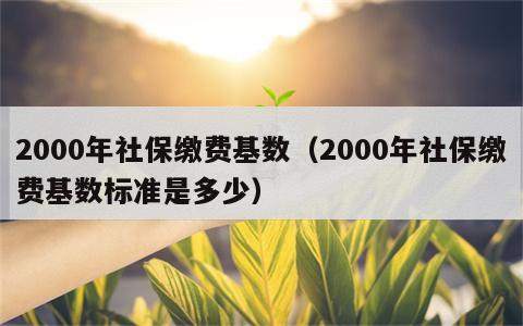 2000年社保缴费基数（2000年社保缴费基数标准是多少）