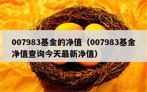 007983基金的净值（007983基金净值查询今天最新净值）