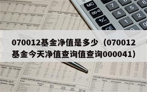 070012基金净值是多少（070012基金今天净值查询值查询000041）