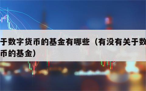 关于数字货币的基金有哪些（有没有关于数字货币的基金）
