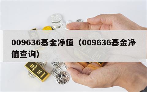 009636基金净值（009636基金净值查询）