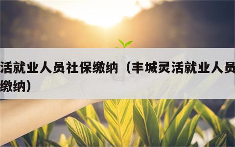 灵活就业人员社保缴纳（丰城灵活就业人员社保缴纳）