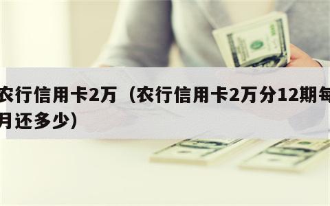 农行信用卡2万（农行信用卡2万分12期每月还多少）