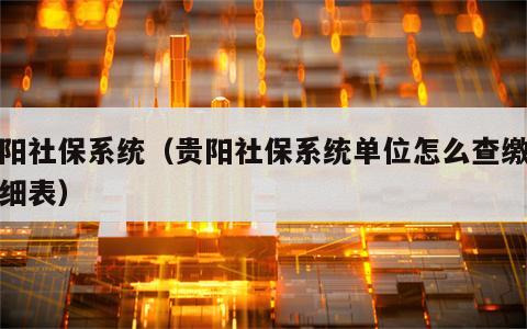 贵阳社保系统（贵阳社保系统单位怎么查缴费明细表）