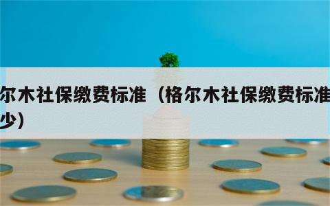 格尔木社保缴费标准（格尔木社保缴费标准是多少）
