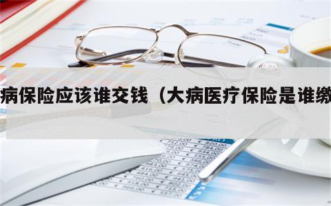 大病保险应该谁交钱（大病医疗保险是谁缴纳）