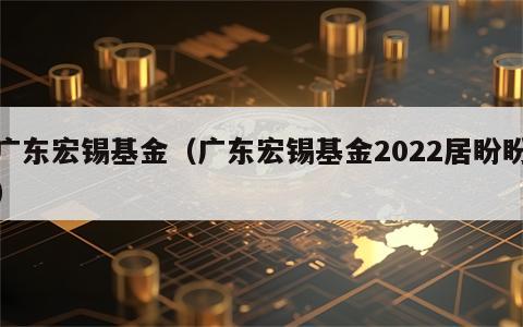 广东宏锡基金（广东宏锡基金2022居盼盼）